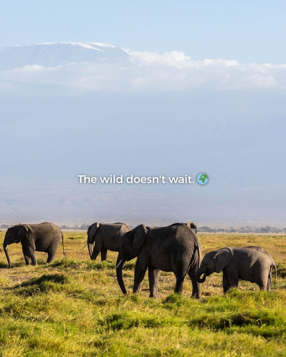 Big Five Tours and Expeditions tweet media