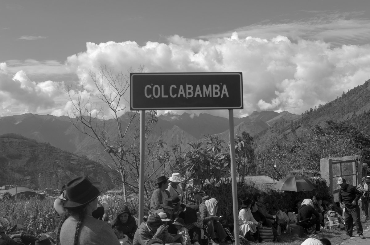 El Foco tweet media
