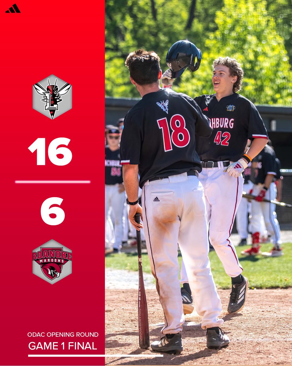 Lynchburg Baseball tweet media
