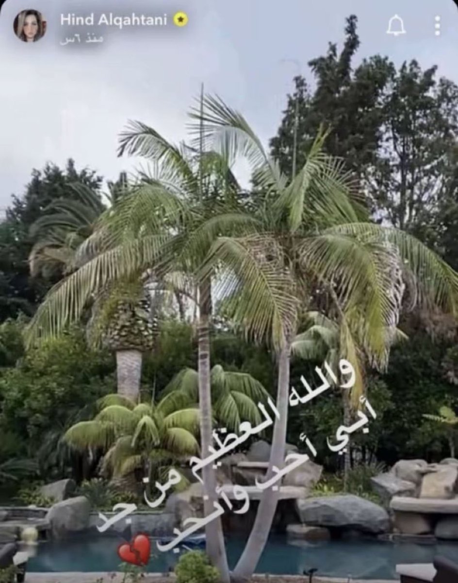 أمجاد tweet media