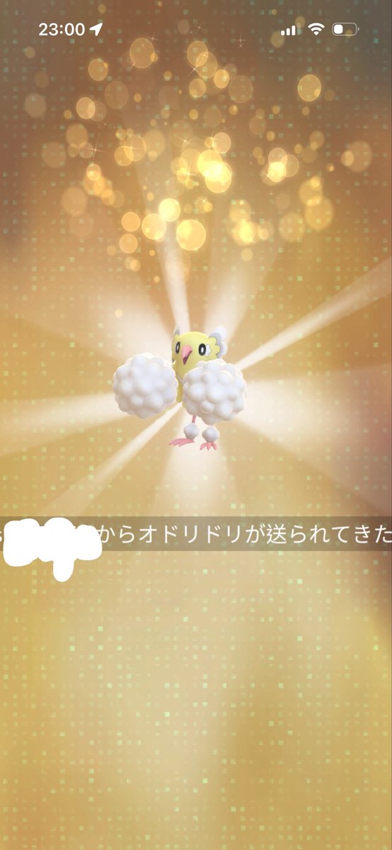 さち⚔✨ tweet media