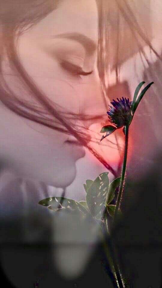 ♒ بــرد الهجيـر .. tweet media