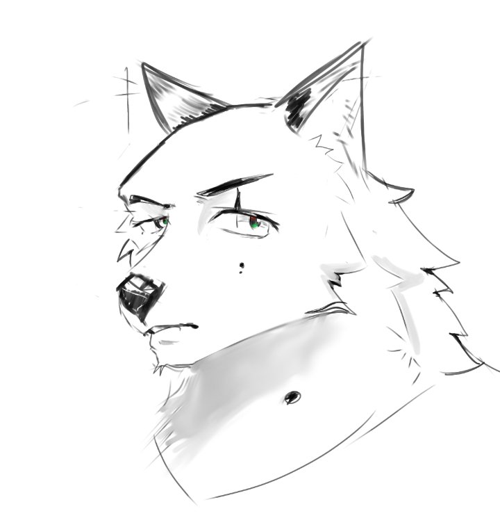 Twd_walter's tweet photo. 7 mins furry digital doodle, I'm trying to get comfy with digital to start it soon!

#furryart #art https://t.co/mVy01uklmT