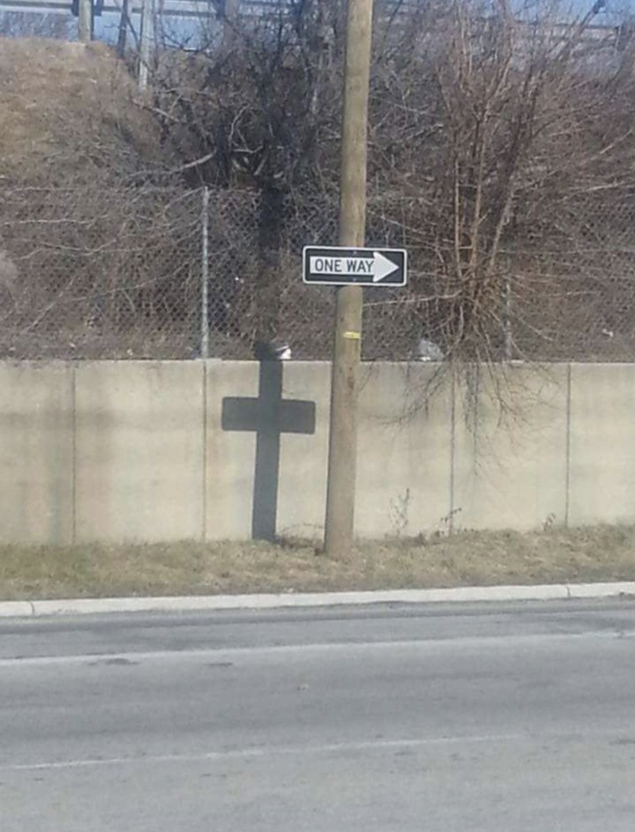 JesusJoo92's tweet photo. @annamlulis Matthew 10:39 NIV
[39] Whoever finds their life will lose it, and whoever loses their life for my sake will find it.

Matthew 5:14 NIV
[14]  “You are the light of the world. A town built on a hill cannot be hidden. https://t.co/N5WYF7uuJ5