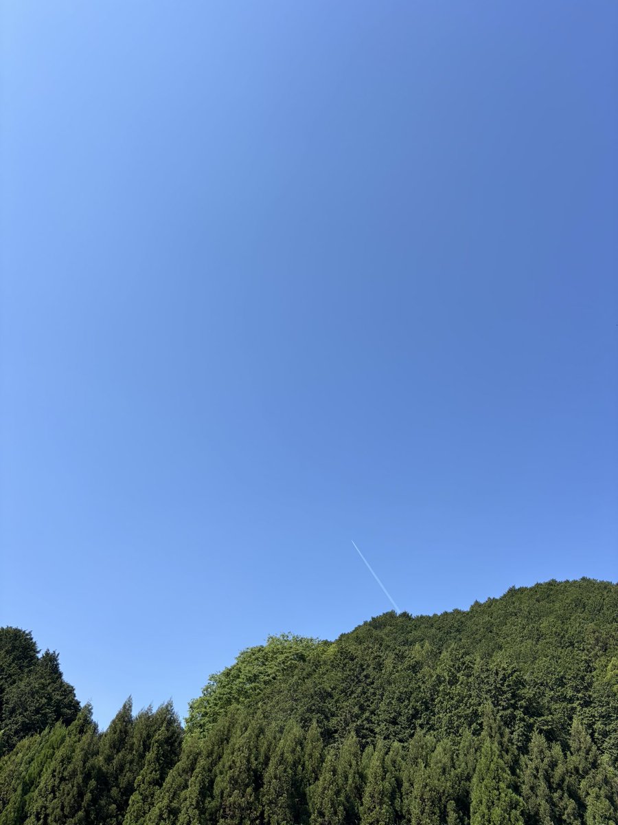 Sc30Shino's tweet photo. いい天気過ぎるやろ☀️ https://t.co/7USZOuhURu