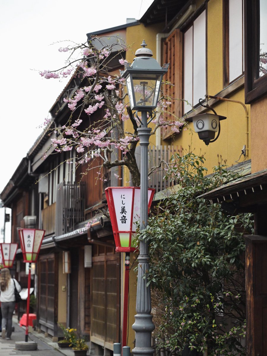 kate_gatehan's tweet photo. #写真好きな人と繋がりたい 
#石川県 
#西茶屋街 
#街並み
#街灯 https://t.co/NPfWkfkY7Z