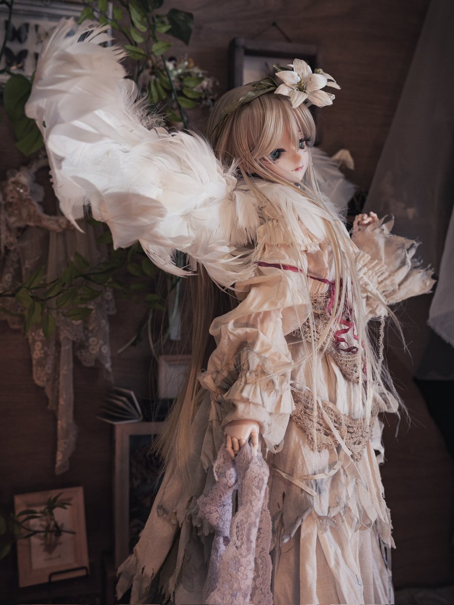 羽を伸ばして朝陽を浴びる。

連休はまったりと。
#ドールを見るとストレスが減るらしい