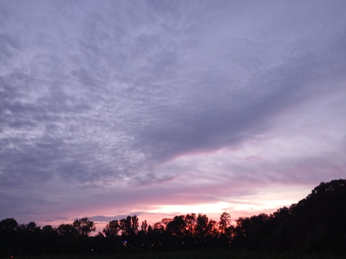 CarloTheace's tweet image. #sunsetphotography