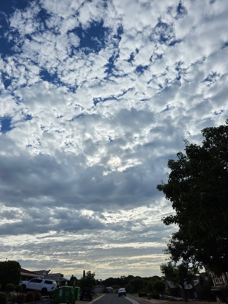 Suninho89's tweet image. Good afternoon 🙋‍♀️☀️☕️🌸🎄🥰 hope you all had a great week.
Happy Friday and happy weekend everyone 🙋‍♀️😘😍💃🎄🔔💚❤️ #goodafternoon #happyfriday #weekend