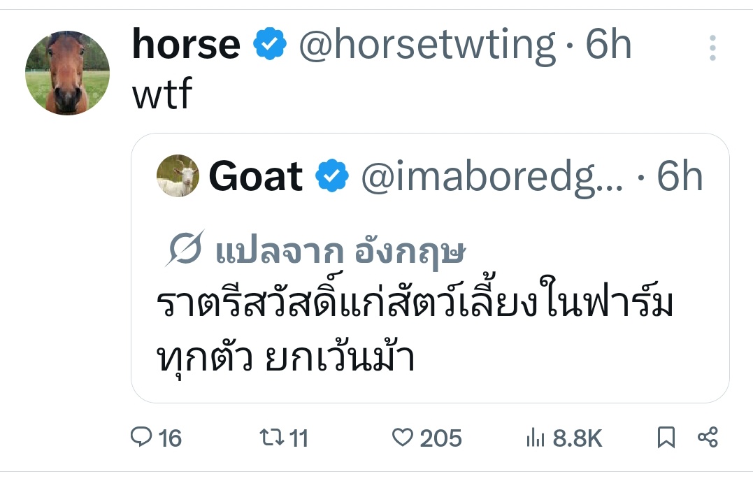 ชลน แมวส้มแท้ๆ 🐱 tweet media