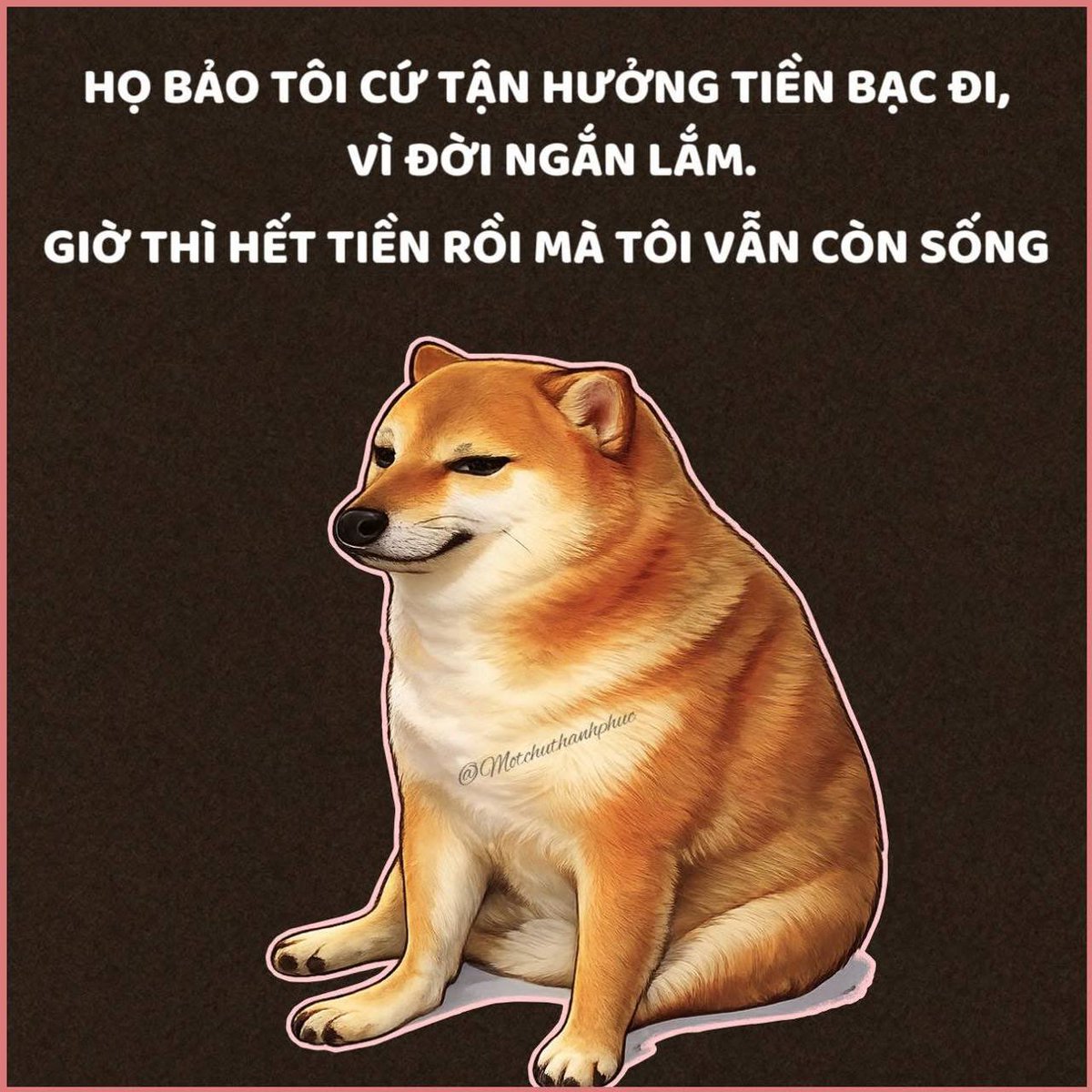 Bùi Vương 🎯 tweet media