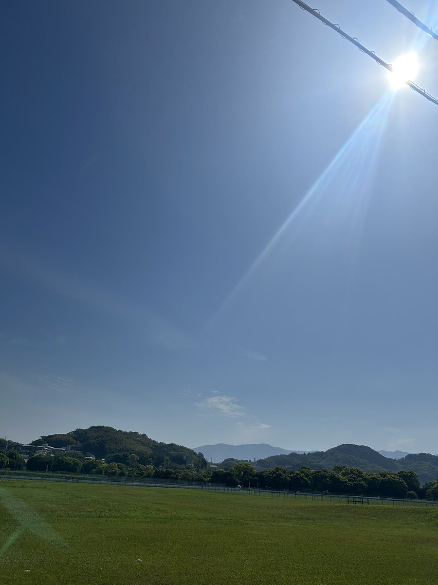 椎野 tweet media