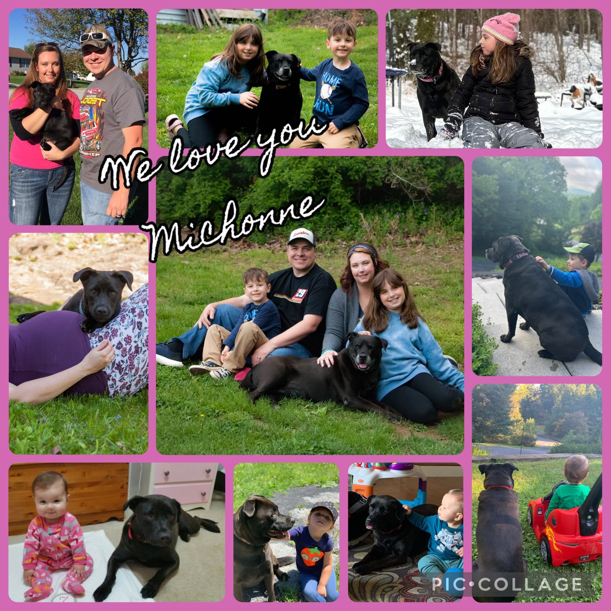 garshorace's tweet photo. Our sweet puppy, Michonne, went to live with the angels this afternoon. She rescued us 10 years ago and was there to see 2 babies grow into children she loved so much.

Thank you Michonne! We love you. https://t.co/J99wVborao
