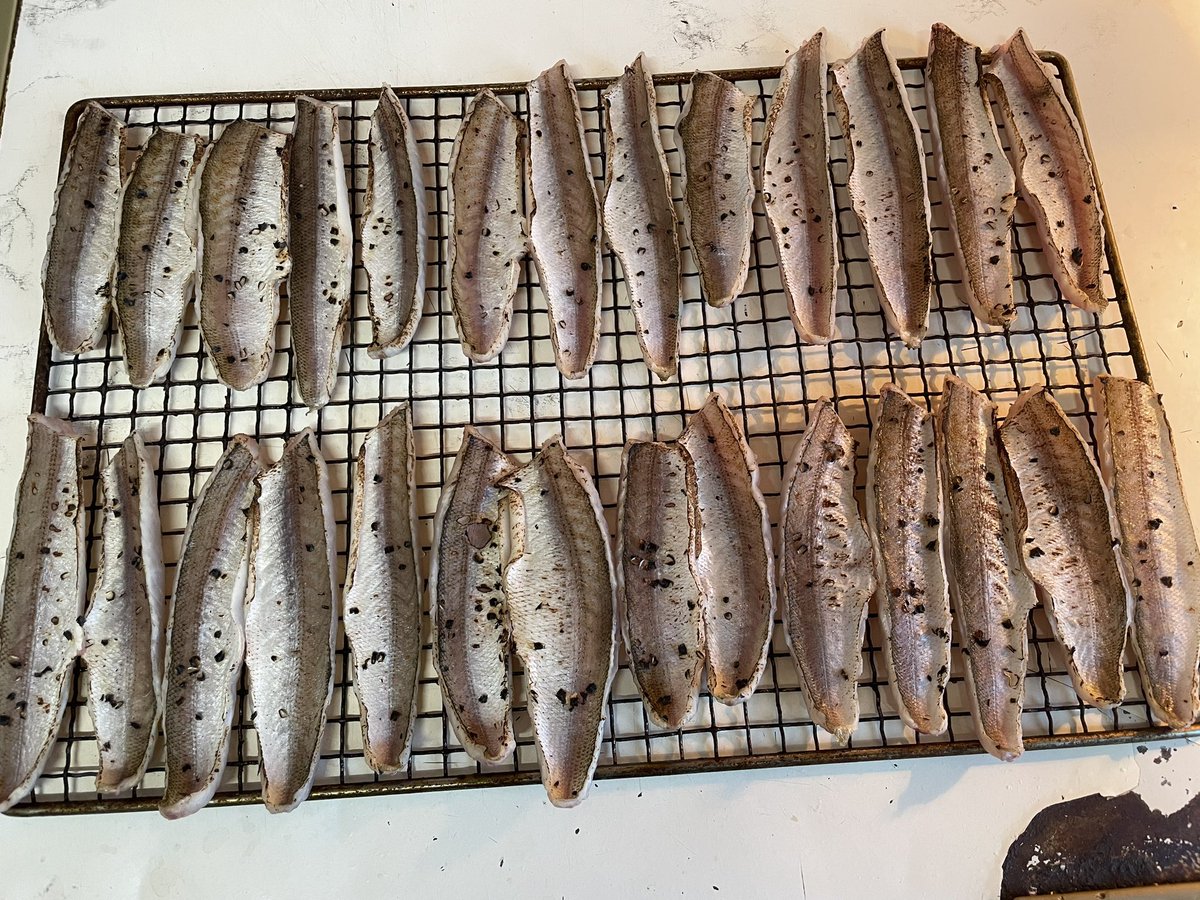第八富士丸食堂 tweet media