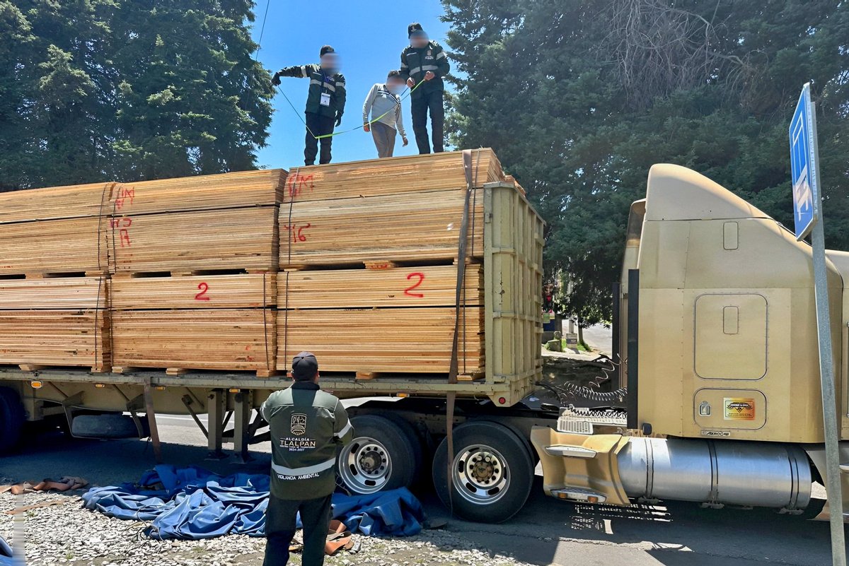 Alcaldía Tlalpan tweet media