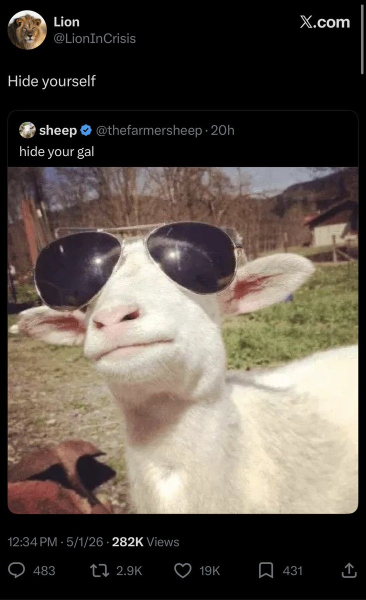 Shadow tweet media