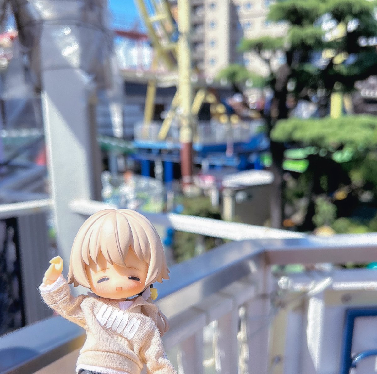 pomo_bjd's tweet photo. #おはドル #Nっ子
GW✨ https://t.co/Uyk5vWHUKy