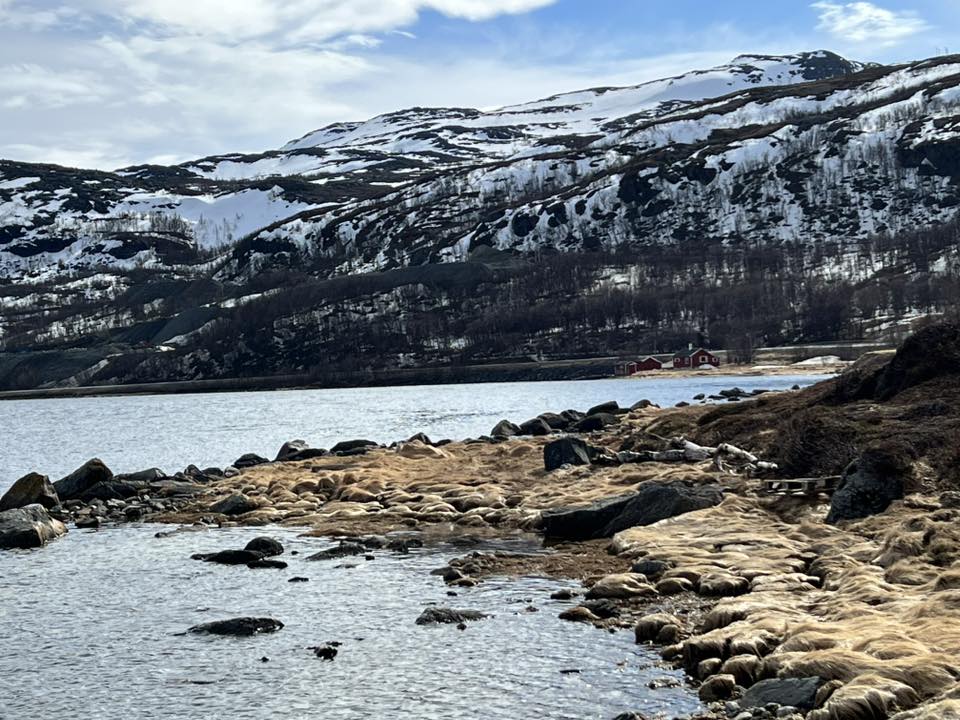 angelsnow1987's tweet image. Fin fjæra i Repparfjord 🙂 #Finnmark #iphone13 #naturephoto #photooftheday