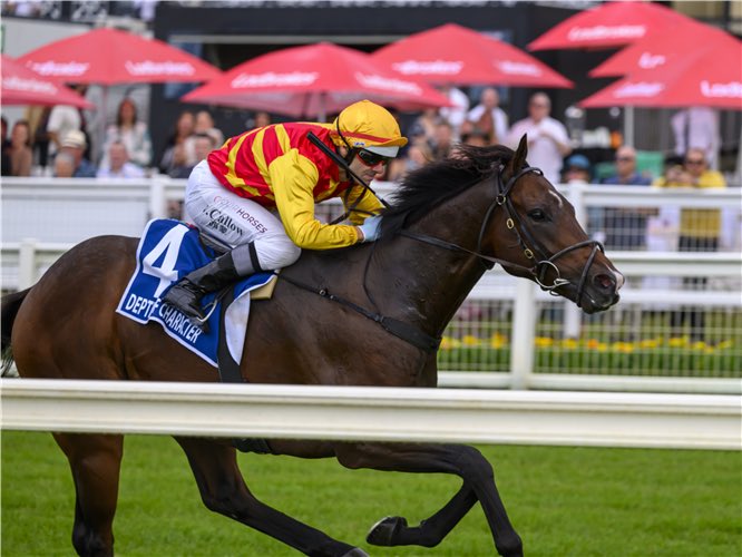 MacBet Racing Tips tweet media
