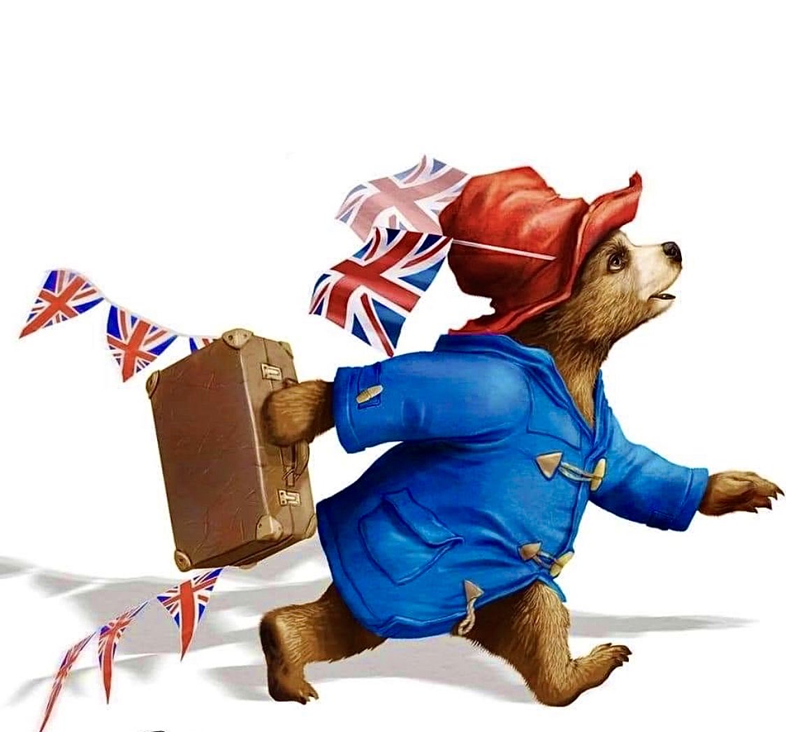 Paddington Bear 🐻 tweet media