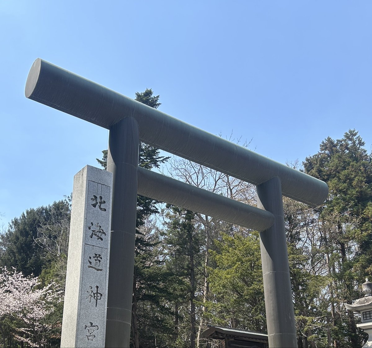 あづま笙子 tweet media