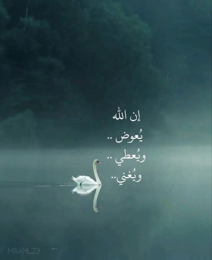 Roro Rateb tweet media