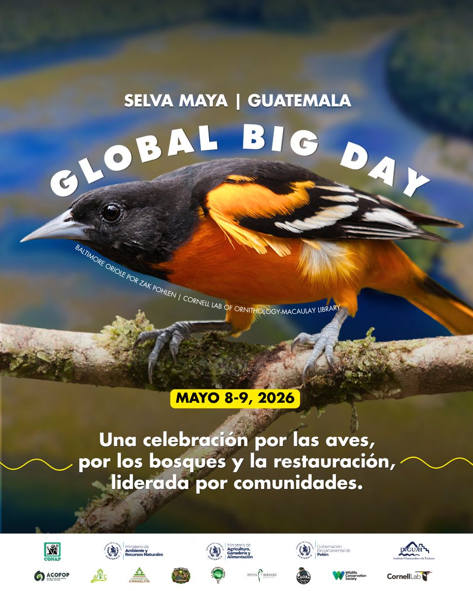 WCS Mesoamérica y el Caribe tweet media