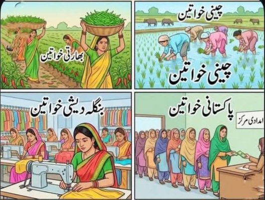 Samina khan tweet media