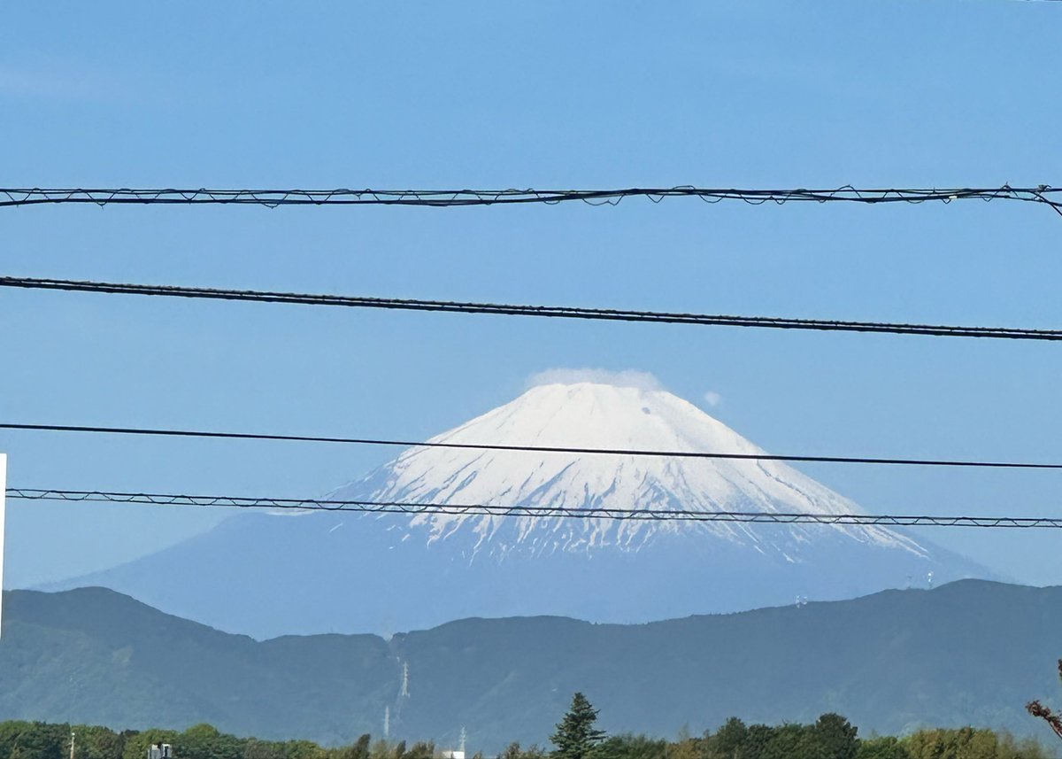 矛盾（意見には個人差があります）本垢 tweet media