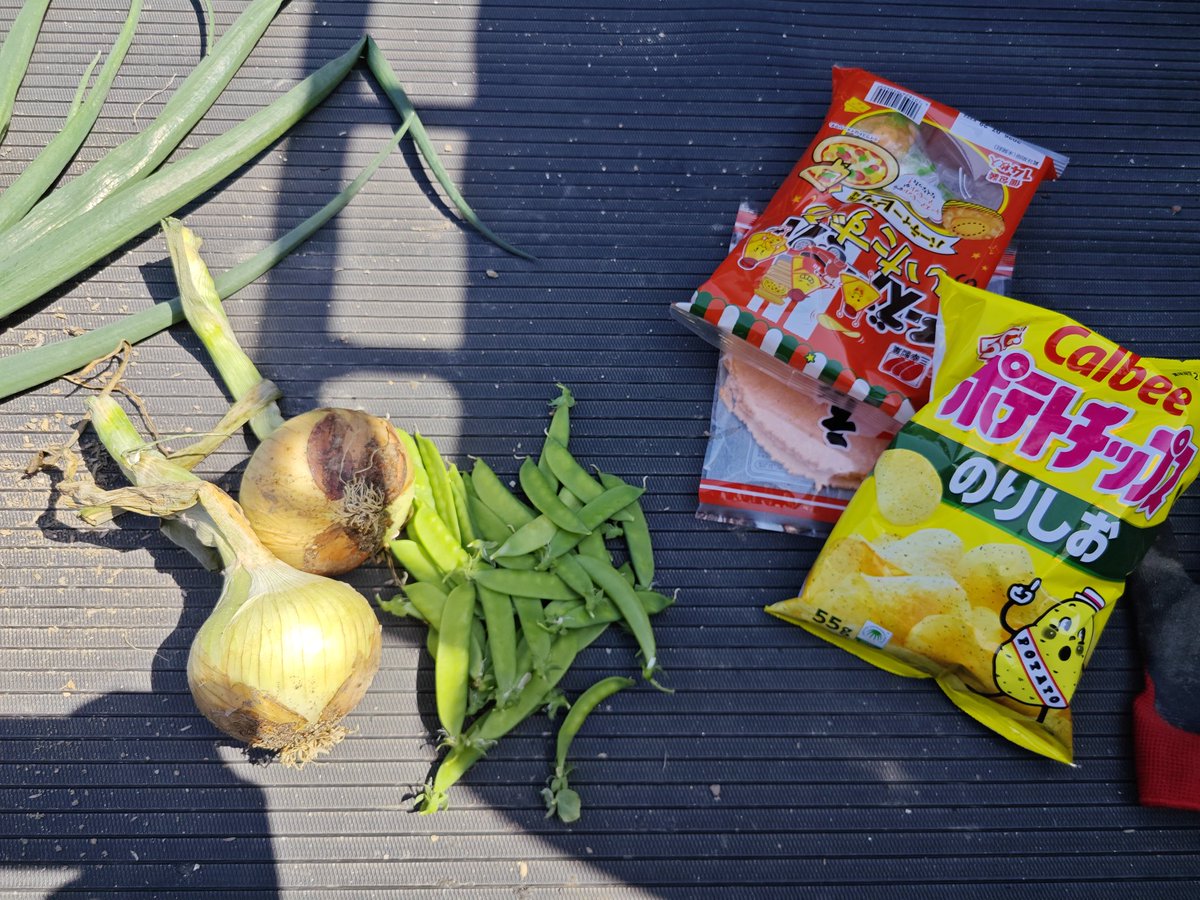 boonkriek's tweet photo. おやつ貰って、お礼にサラダ🧅3つ持って行ったら、🧅2つとキヌサヤ貰った😂 https://t.co/TbyuFpvXiS