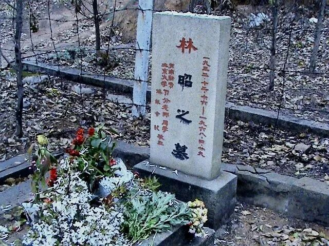 光傳媒官推/Shining Light Media LLC/官網 www.ipkmedia.com tweet media