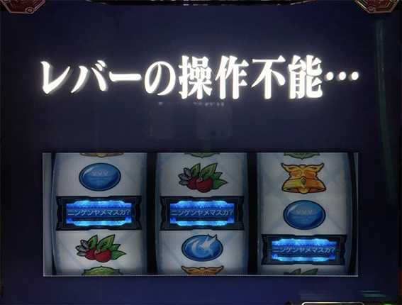 ギャンブルTAIKI tweet media