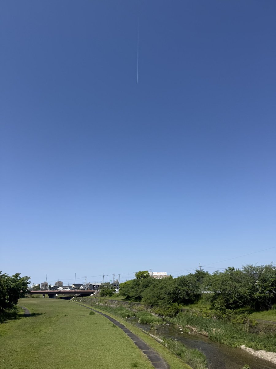 さんちゃ tweet media