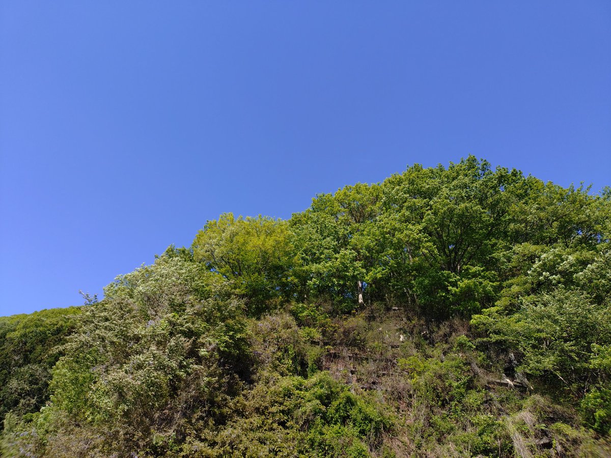 草木ドライブイン tweet media