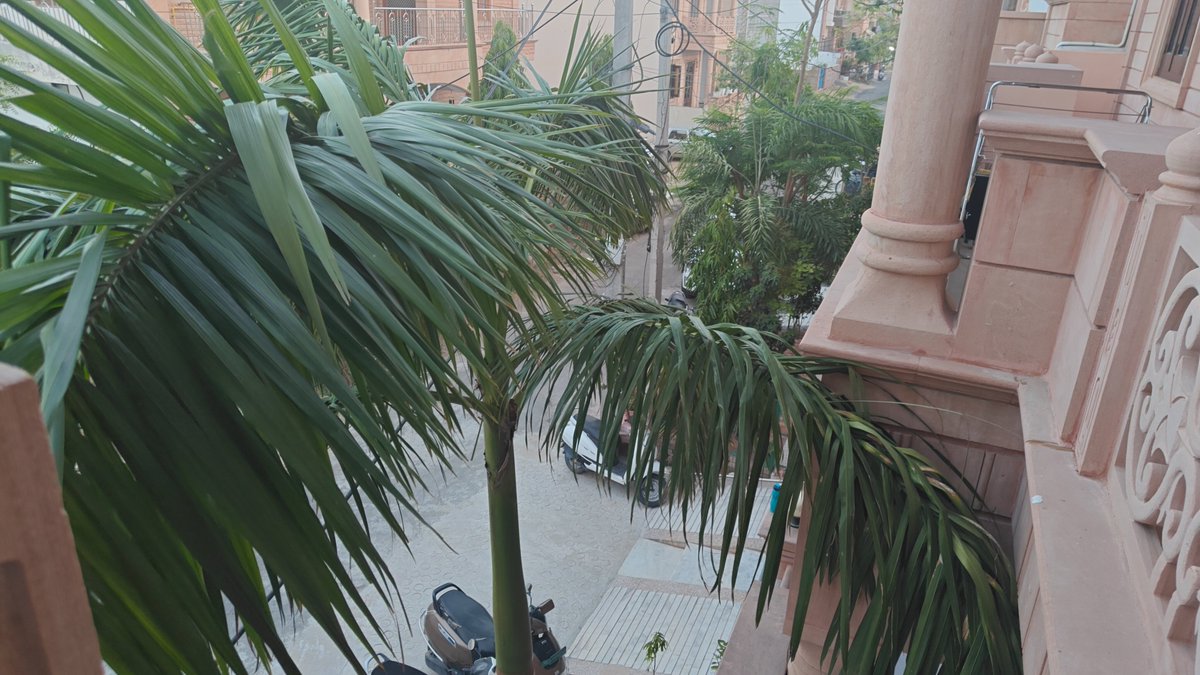 Shweta Birda tweet media