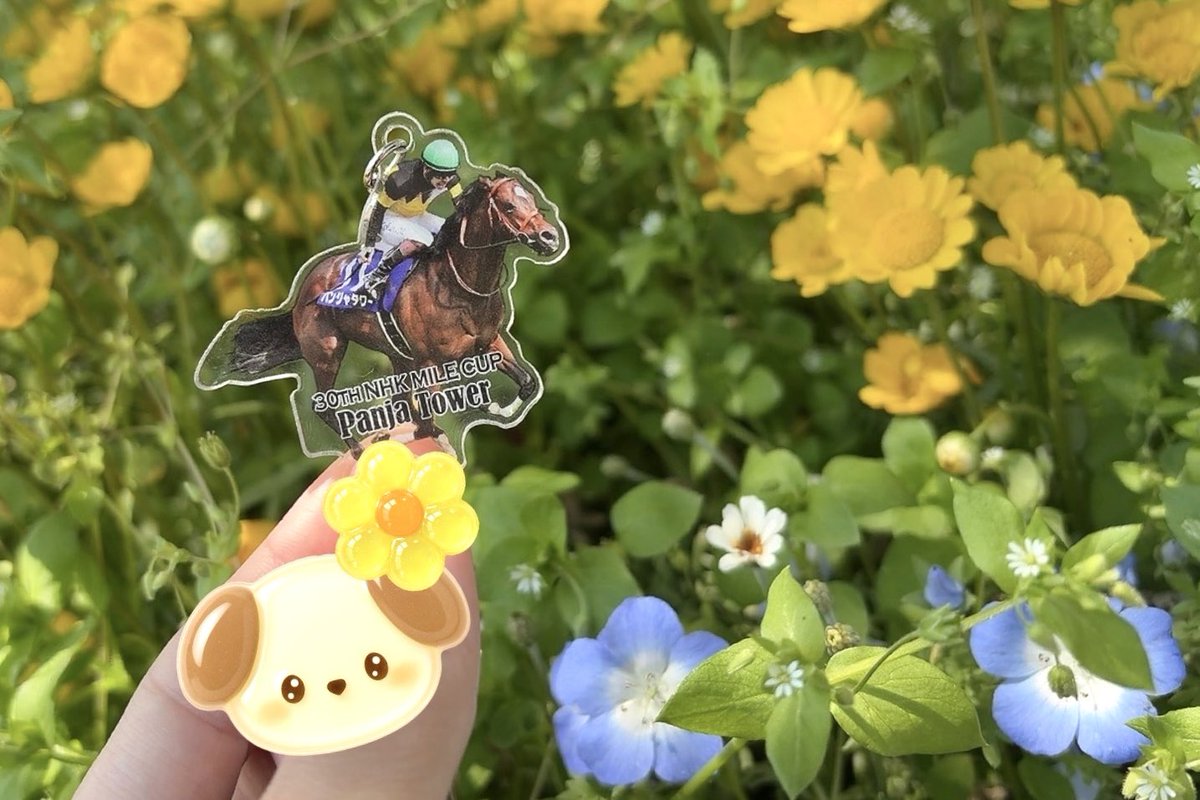 〆ルカ刂 Post by ルカ on X: 🌼🌼🌼