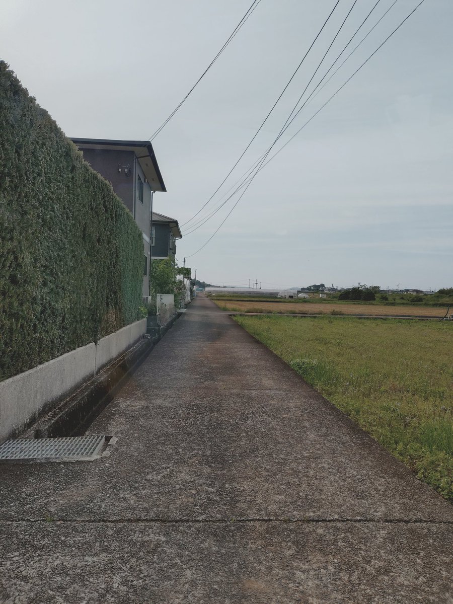 先月の放送であった大村市の滑走路だと今更気づくのだった…
#こころ旅