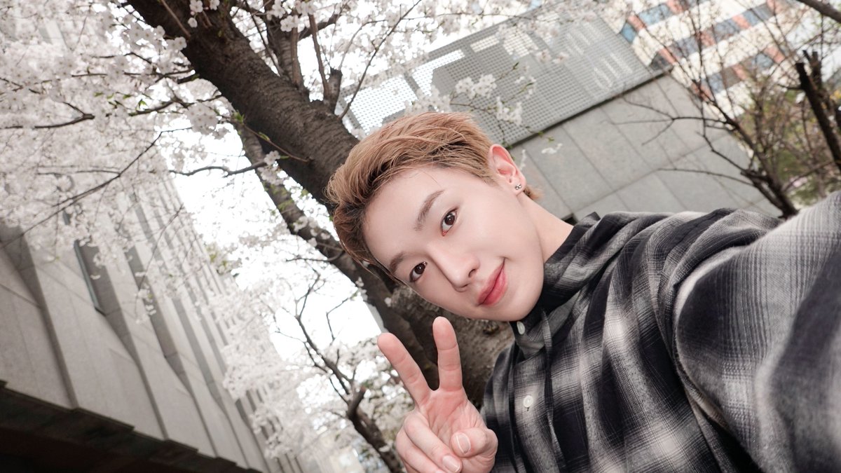 Monwenee Argentina🧉(Monsta X & Wonho Fanbase) tweet media