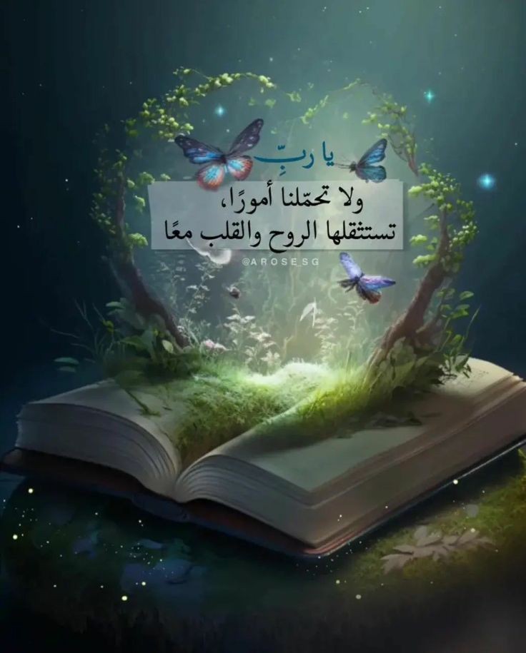 نذيــر tweet media