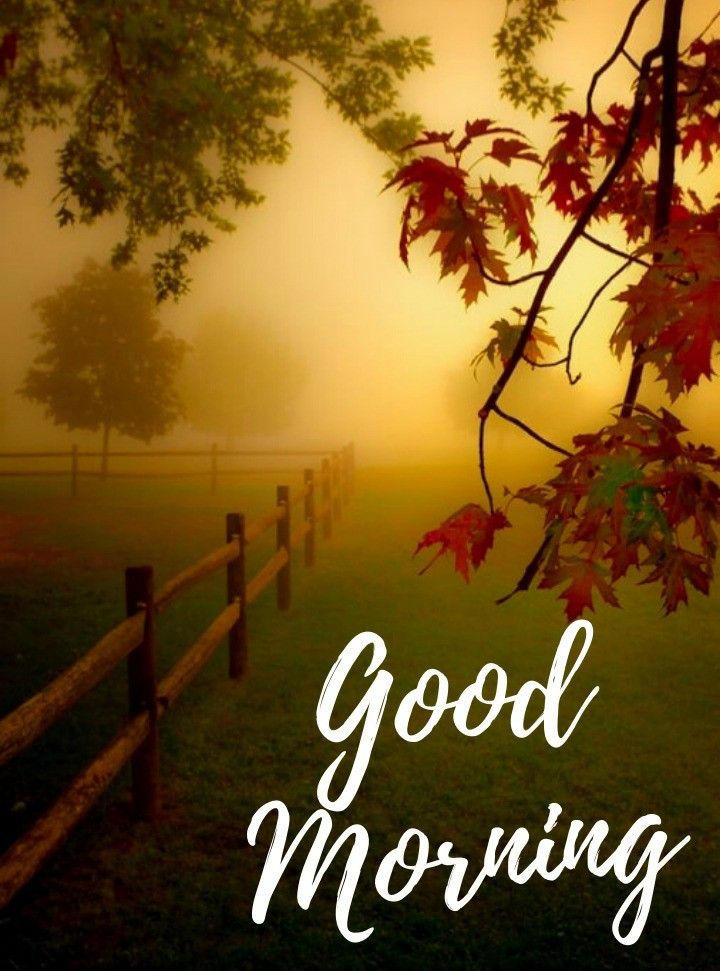🚩 *शुभ प्रभात* ☀️

*उल्लू को यूं ही बदनाम कर दिया गया है पार्थ, अन्यथा जो वो देख सकता है, कोई नहीं देख सकता !*

🌺 *आपका आज का दिन मंगलमय हो...* 🎉