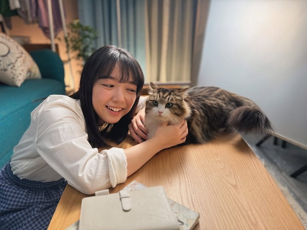 晴風Ⅱ tweet media