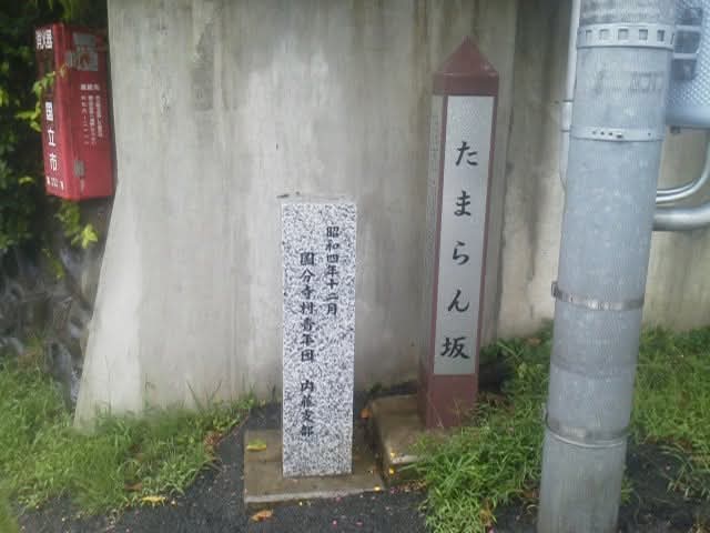 庄子’’DARRY’’和実 tweet media