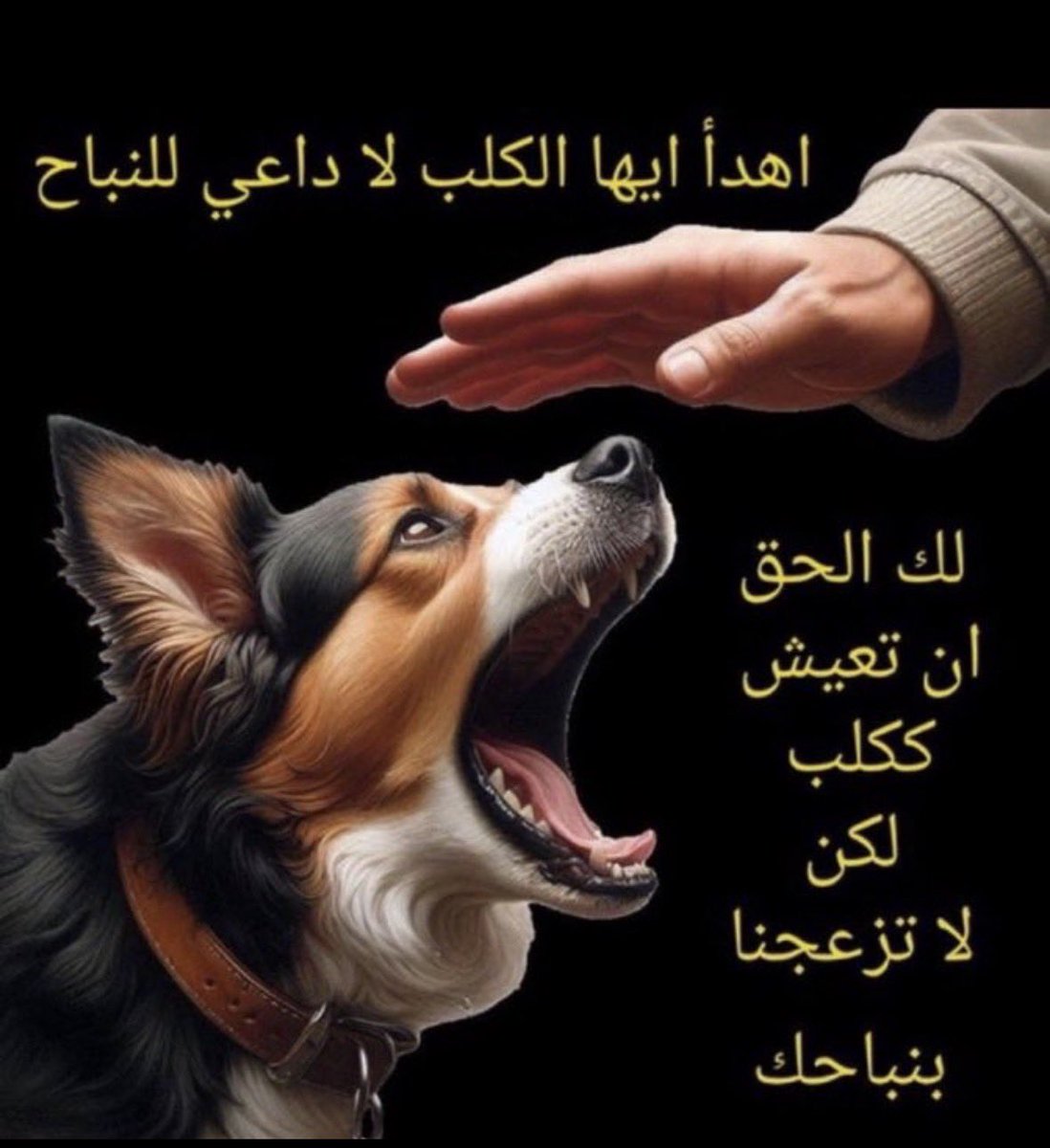 ابو فهد 💙 tweet media