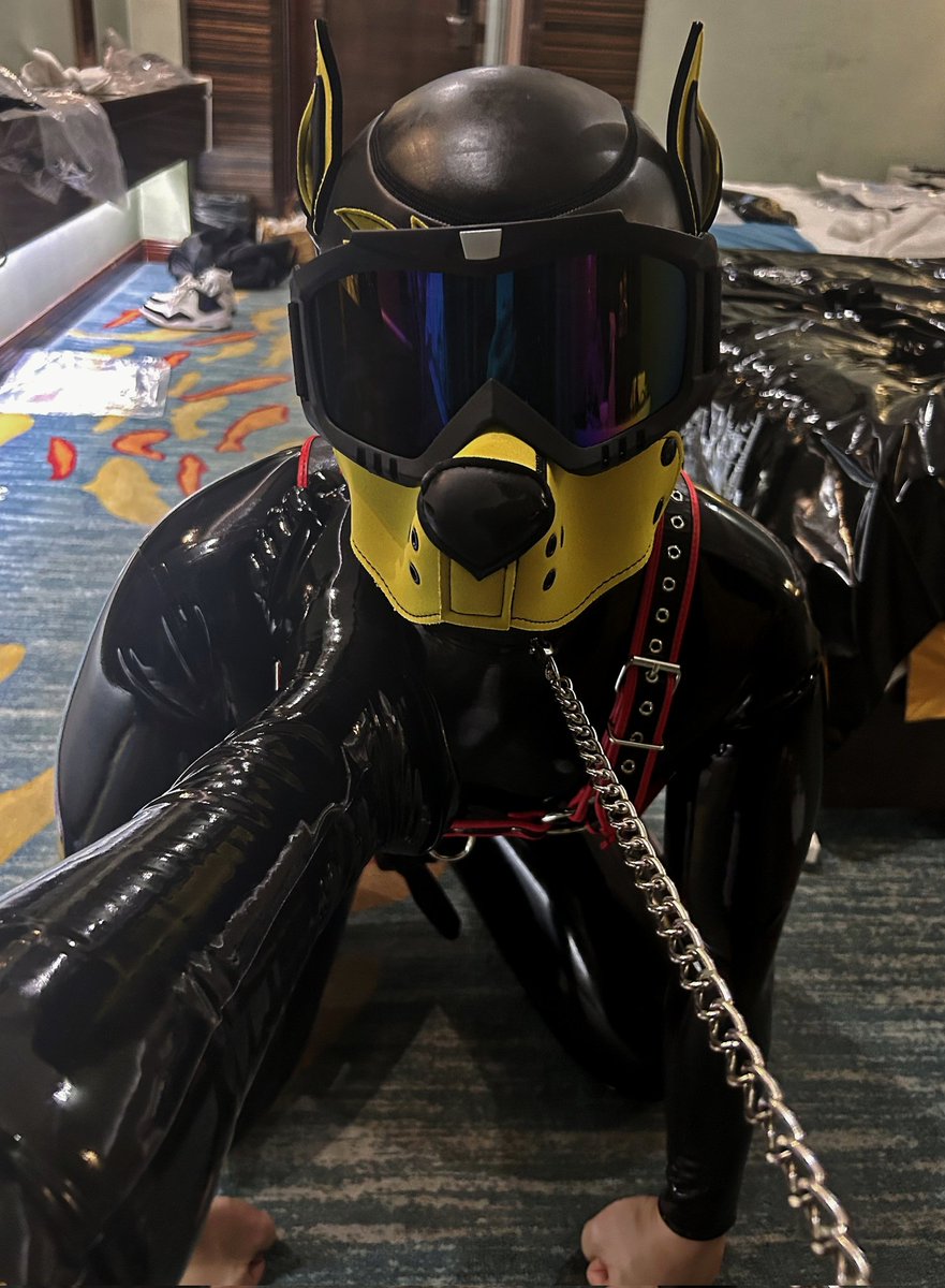 Yzh355's tweet photo. 🐶Rubber Puppy @Yzh355 &amp; Rubber Toy @yannick_rubber 🖤 https://t.co/GEEO6K4tVm