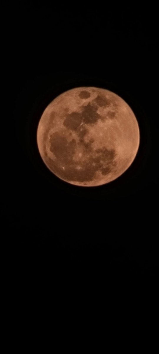 ccollison89's tweet photo. The beautiful full moon tonight above Florida.  Reminds me of the harvest moon from iowa. https://t.co/4TgBIO9yxE