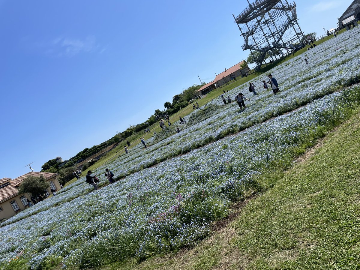 たけおパパ tweet media
