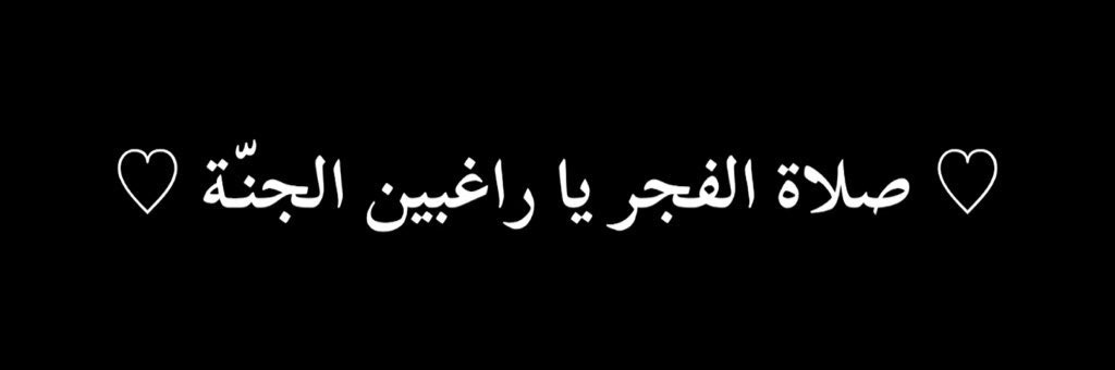 توليب|Tulip🌷 tweet media