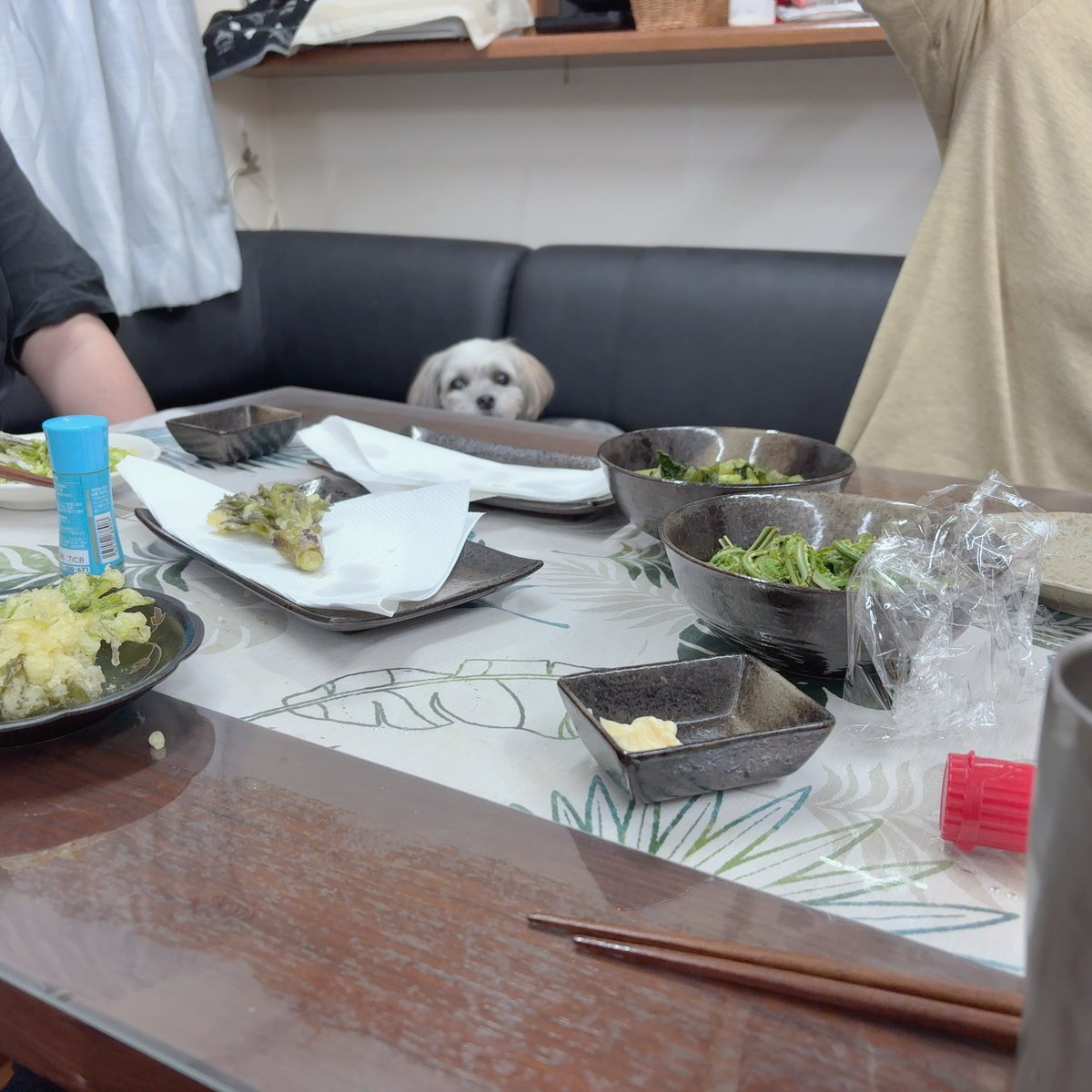 るふな🐧⚡️🥨🍚 tweet media