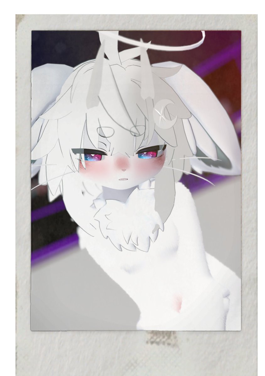 とむにゃんこ🐱 tweet media