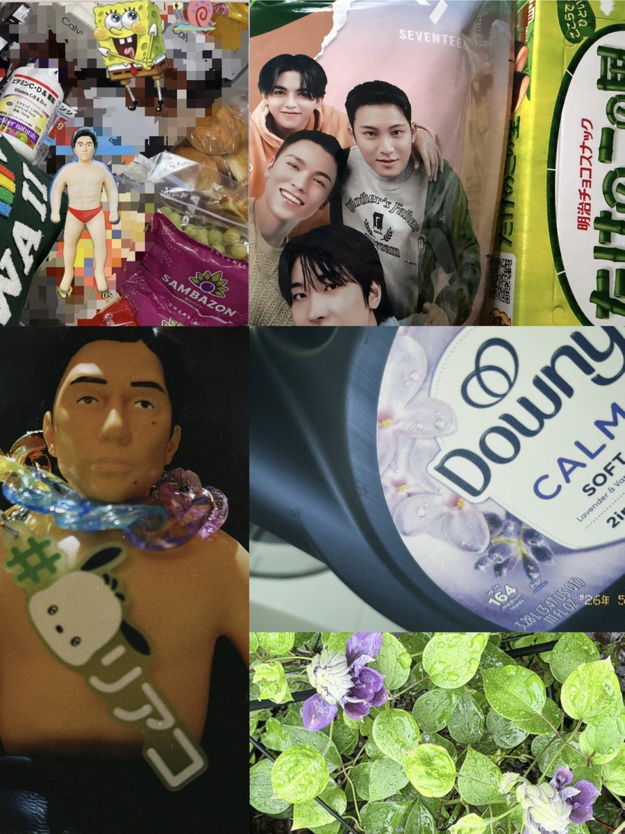 フルーツがあるの幸せ🍇💚